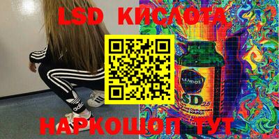 PSILOCYBIN Дубна