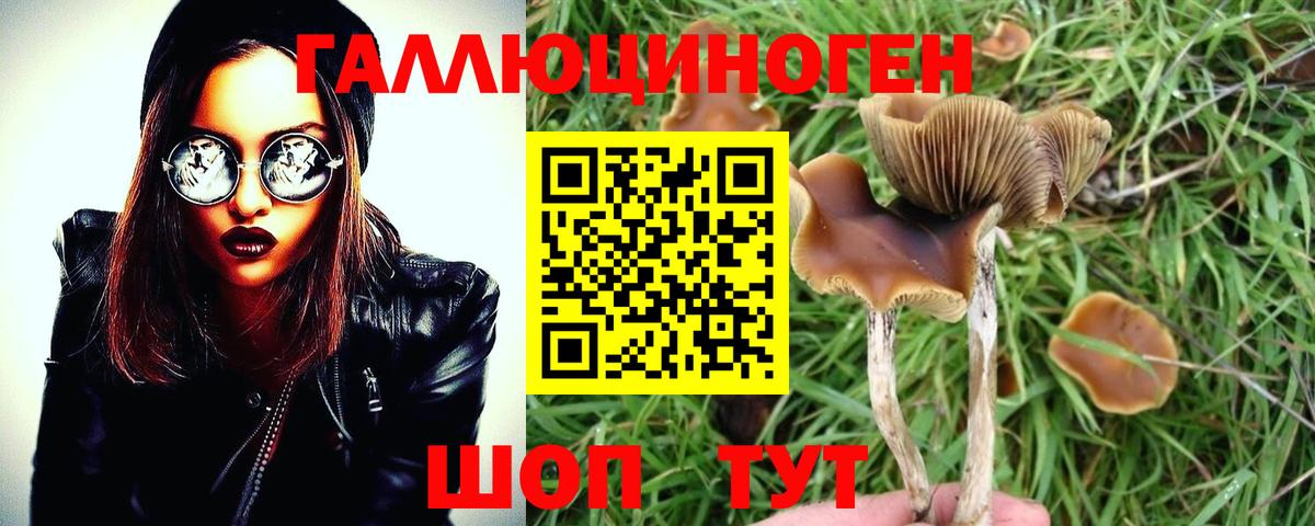 Псилоцибиновые грибы MAGIC MUSHROOMS  Псилоцибиновые грибы прущие грибы  Вход с VPN  Минусинск 